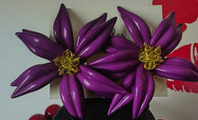 Load image into Gallery viewer, Full View
