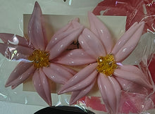 Load image into Gallery viewer, Full View
